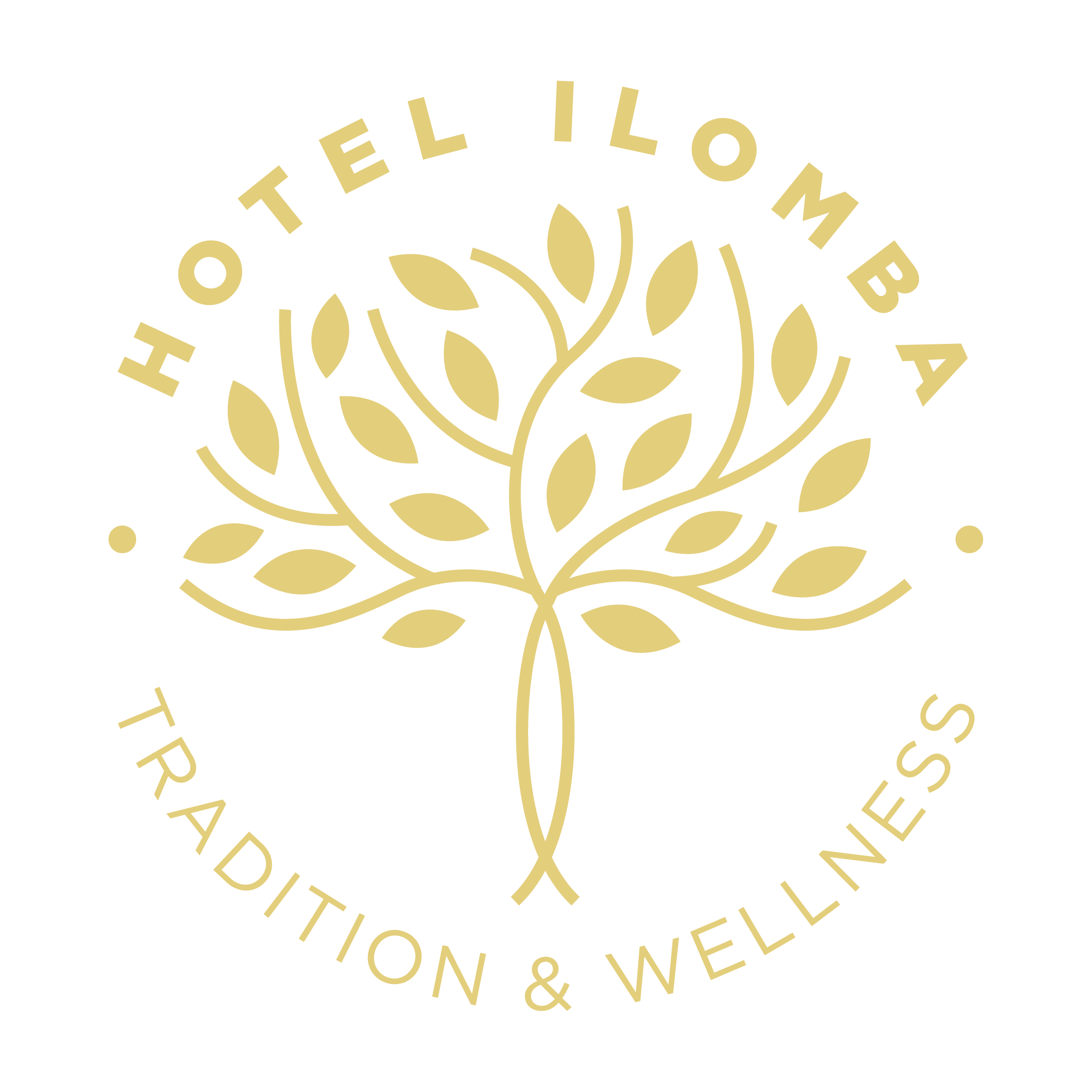 Hôtel Ilomba